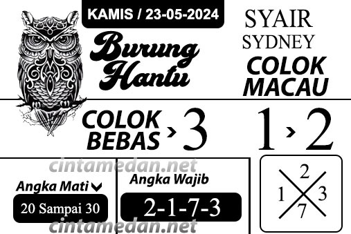 SYAIR SDY VIP